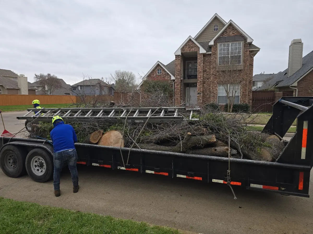 Expert Tree Pest Control with proper safety equipment in Economy